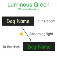 Dog ID Tag Dog Name Tag Custom Name Labels Reflective Label Luminous Personalized Stickers for Dog Harness Tag Pets Supplies