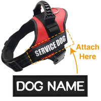Dog ID Tag Dog Name Tag Custom Name Labels Reflective Label Luminous Personalized Stickers for Dog Harness Tag Pets Supplies