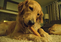 EcoKind Gold Yak Dog Chews Grade A Quality 100% Natural, Healthy & Safe - 5 POUND BAG