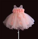 baby girls dresses lace flower kids clothing princess wedding baptism children wear 1 year birthday vestido infantil 6M-4Y