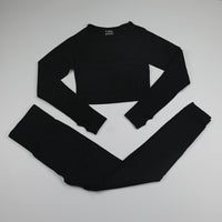 2 Piece Seamless Yoga Set Women Gym Clothing Fitness Long Sleeve Crop Top+High Waist Workout Leggings Sports Suit 10 Colors
