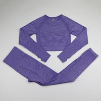 2 Piece Seamless Yoga Set Women Gym Clothing Fitness Long Sleeve Crop Top+High Waist Workout Leggings Sports Suit 10 Colors