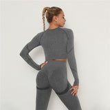 2 Pcs Sets Yoga Suit Tummy Control Sports Suits High Stretch Yoga Leggings Sets Fitness Sports Shirt Sets Training Sets Gym Wear