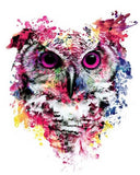 AZQSD Painting By Numbers Tiger Oil Painting Paint By Numbers For Adults Animal Hand Paint Kit Canvas Home Decor Gift Diy
