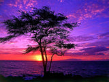 HUACAN Diamond Painting Full Drill Square Landscape 5D DIY Diamond Embroidery Seaside Sunset Picture Of Rhinestone Sunrise