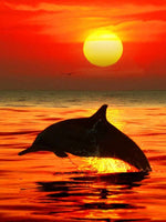 HUACAN Diamond Painting Full Drill Square Landscape 5D DIY Diamond Embroidery Seaside Sunset Picture Of Rhinestone Sunrise