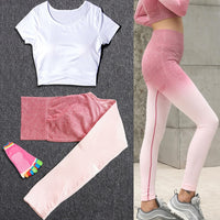 Women Tracksuit Set Female Sportswear Gym Fitness Clothes Sports Outfit Running Yoga Crop Top Leggings Suits With Chest Pad