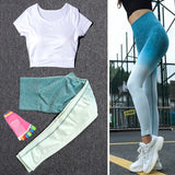 Women Tracksuit Set Female Sportswear Gym Fitness Clothes Sports Outfit Running Yoga Crop Top Leggings Suits With Chest Pad