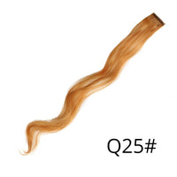 Alileader 18Inch Synthetic Curly Clip One In Hair Extensions Natural Long Hairpieces For Women Girl Pink Blue Colorful
